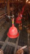 8 Plasson Poultry Bell Drinkers with all Pipe Fittings - Location - King's Lynn, Norfolk
