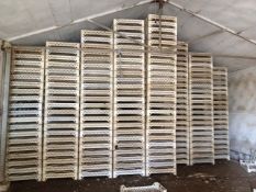 52 White plastic chitting trays 75cm x 45cm x 15cm, stacked on a pallet. Location March, Cambs.