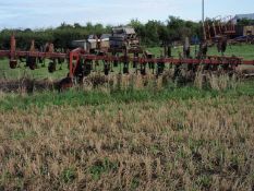 FMA 12 row Hoe. Location Thetford, Norfolk