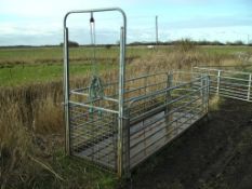 Sheep Footbath - Location Sea Palling Norfolk