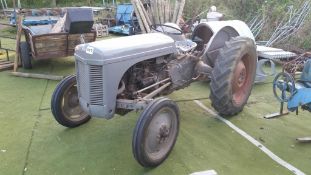 Grey Ferguson Location Buckinghamshire