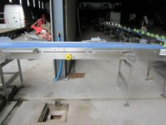 Infeed Preparation Conveyor, belt width 53cm (21