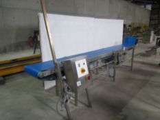 Stainless Steel Conveyor Belt, easy clean conveyor for high care, Belt Width 40cm, length 4.2m