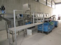 MAREL M Series 3000 double 10 lane check weigher/grader for meat or vegetables with man platform,