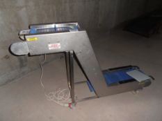 Inclined Swan Neck Conveyor Belt width 3m (10