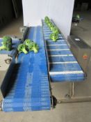 Dual Speed Separation Conveyor