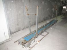 Flat Conveyor on Legs Belt Width 30cm (12
