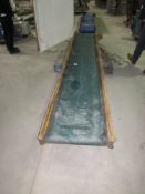 Peal Flat Conveyor, Belt Width 30cm (12