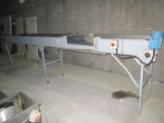 Stainless Steel Conveyor with Diverter Paddle Belt width 55cm (22