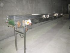 Stainless Steel Conveyor with 3 No. Diverter Paddles, Width 38cm (15