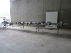 Easiweigh check weigher with 8 lane grader for grading fruit & vegetable products