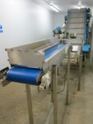 Veg Weighing & Netting line comprising short conveyor width 12