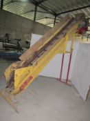 Wiley Engineering lift conveyor with cross conveyor, 11' long x 8