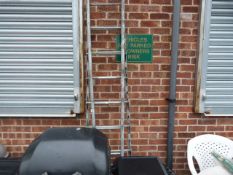 Surveyor's Folding Ladder