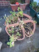 4 Quartered Garden Planters Containing Geraniums