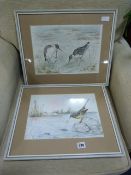 2 Framed Water Colours Depicting Birds
