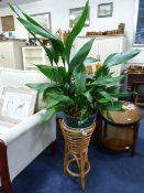 Bamboo Plant Pot with Plant