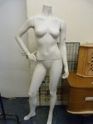 Female Mannequin