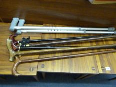Collection of Walking Sticks