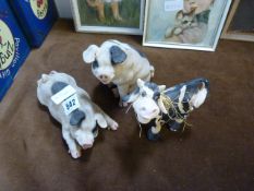 2 Piggin Pigs & A Cow