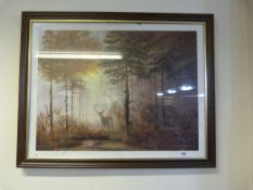 Framed Print - The Quiet Forest