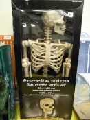 *Pose-n-Stay Skeleton