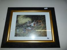 Framed Limited Edition Print of A Tiger by Stephen Hodge