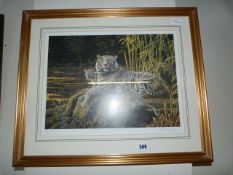 Gilt Framed Limited Edition Stephen Gayford Tiger Print