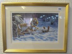 Framed Stephen Gayford Limited Edition Print Depicting Tigers ion The Snow