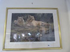 Gilt Framed Limited Edition by Willem De Beer Entitled 