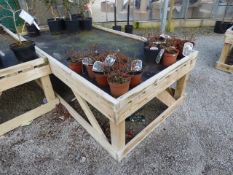 Tanalised Work Bench with Capillary Matting