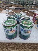 Greenhouse Shading (5 x 5 litres)