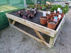 Tanalised Work Bench with Capillary Matting