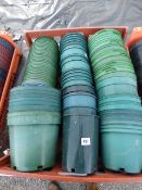 Green Pots