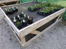 Tanalised Work Bench with Capillary Matting