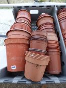 Brown Pots