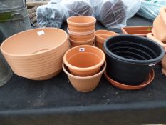 Assorted Planters - Plastic & Pot