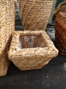 Small Rush Planter Lined