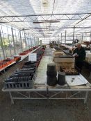 2 Sided Aluminium Display Bench with Capillary Matting & Irrigation - 25 x 2 m