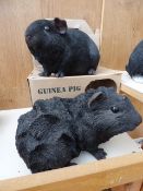 2 Guinea Pigs