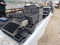 Seed Trays etc