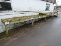 Section of Tanalised Benching