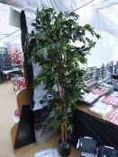 Standard Artificial Bay Tree