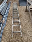 22 Rung Extending Ladder