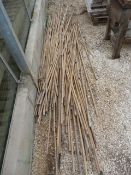 Garden Canes