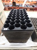 Seed Trays