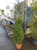 Containerised Ever Green