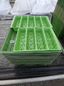 Seed Trays