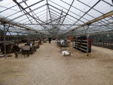 Westdock 1972 4 Bay Greenhouse - 25 x 48.84 Metres - Rack & Pinion 1 PH Vent