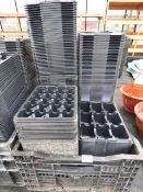 Tray of Seed Trays